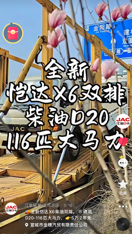 全新愷達(dá)X6柴油雙排，德威D20-116匹大馬力。